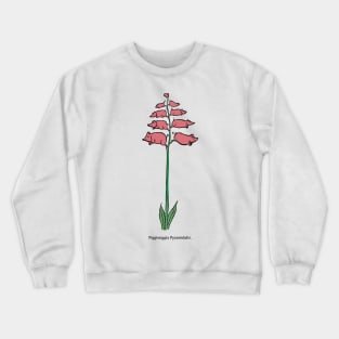 piggiwiggia Pyramidalis Crewneck Sweatshirt